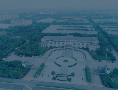 大宝娱乐-LG游戏|PT游戏|CQ9游戏